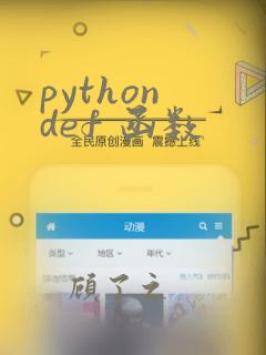 python def 函数