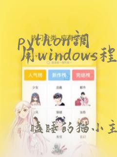 python调用windows程序