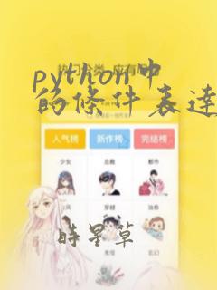 python中的条件表达式