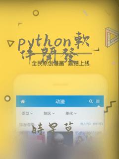 python软件开发