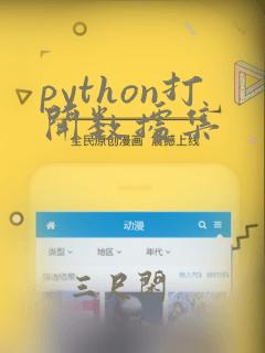 python打开数据集