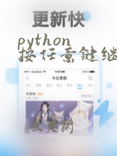 python 按任意键继续