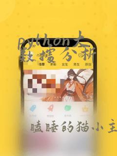 python大数据分析