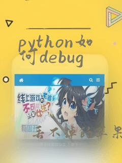 python如何debug