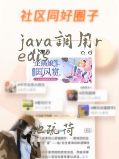 java调用redis