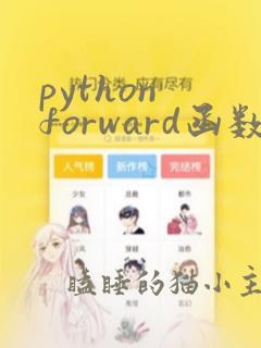 python forward函数