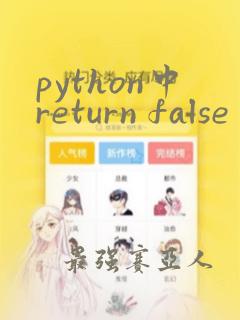 python中return false