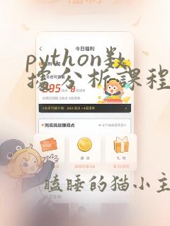 python数据分析课程与可视化