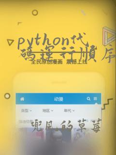 python代码运行顺序