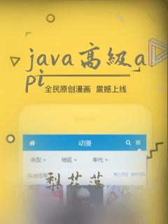 java高级api