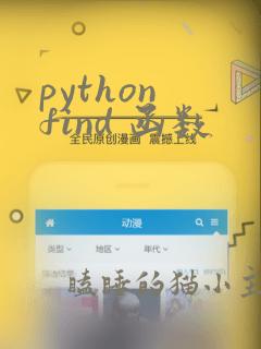 python find 函数