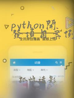 python开发项目案例