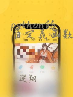 python的自定义函数