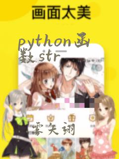 python函数str