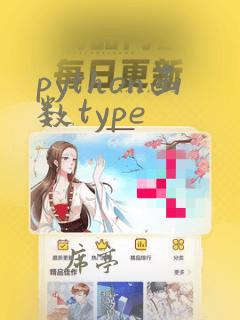 python函数type