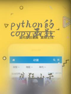 python的copy函数