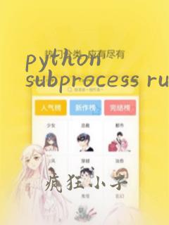 python subprocess run