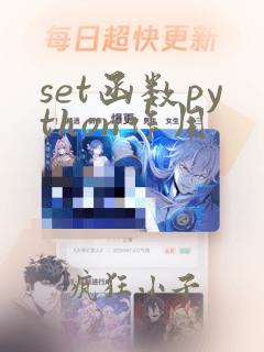 set函数python作用