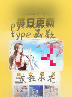 python type函数