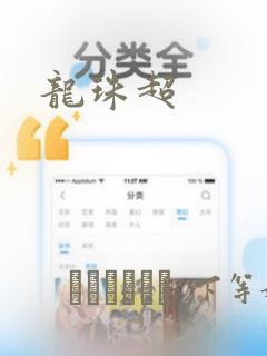 龙珠超