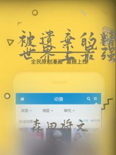 被遗弃的精灵是世界上最强最可爱的!：结局+番外