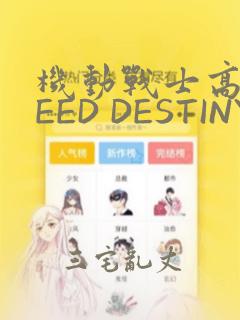 机动战士高达SEED DESTINY ASTRAY：结局+番外