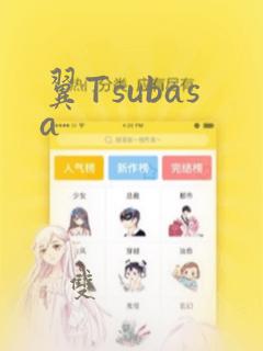 翼Tsubasa：结局+番外