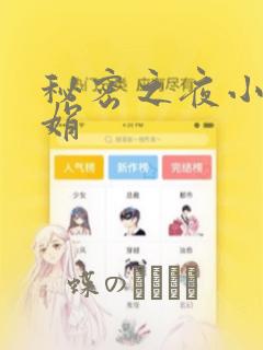 秘密之夜小说小娟：结局+番外