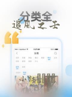 追风之壬