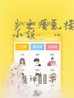 炎之蜃气楼-轻小说