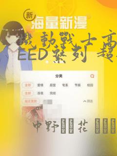 机动战士高达SEED系列 超全集：结局+番外