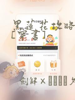 overflow讲的是什么