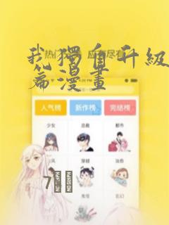 python的link