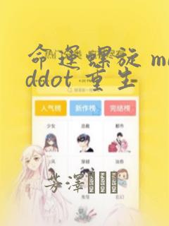 命运螺旋 middot 重生