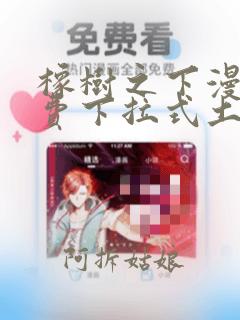 橡树之下漫画免费下拉式土豪漫画
