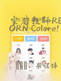 家庭教师REBORN Colore! 画集