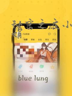 秘密之夜小说小娟：结局+番外