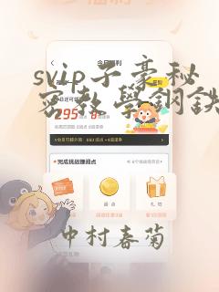 svip子豪秘密教学钢铁网：结局+番外