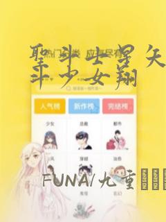 圣斗士星矢 圣斗少女翔