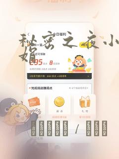秘密之夜小说小娟