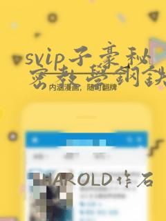 svip子豪秘密教学钢铁网