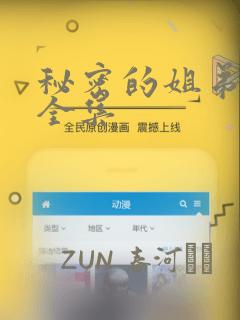 秘密的姐弟漫画全集：结局+番外