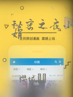 秘密之夜小说小娟：结局+番外
