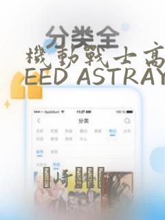 机动战士高达SEED ASTRAY R