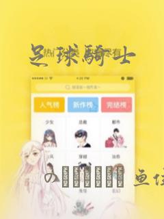 足球骑士
