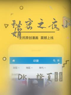 秘密之夜小说小娟