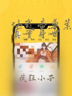 仙武帝尊叶辰的真实身世
