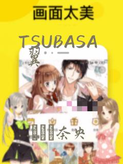 TSUBASA 翼：结局+番外