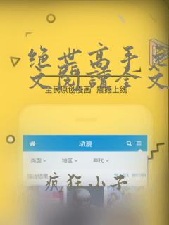 绝世高手免费全文阅读全文