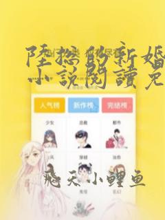 陆总的新婚哑妻小说阅读免费无弹窗全文